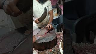 Amazing Giant Pangas Fish CuttingSkills Live In Fish Market | FishCutting Skills #fish #fiscutting