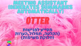 Otter AI  - meeting assistant