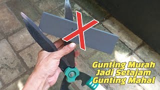 Cara Mengasah Gunting Rumput Yang Benar