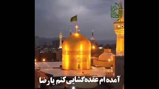 امام رضا(ع)