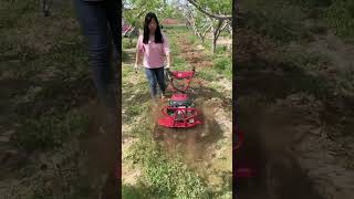 Part 673 Orchard greenhouse management rotary tillage Machine Zongshen power multifunctional.😱