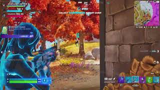 Fortnite_20221215201126