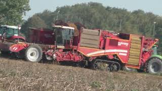 Die 4 reihigen selbstfahrenden Kartoffelroder Grimme VARITRON 470 TERRA TRAC beim Kartoffel Roden im