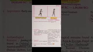 Human  Evolution #history  #bpsc69 #upsc #ssc  #shorts