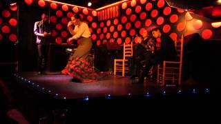 Flamenco - Tarantos -  Barcelona 20.01.2015