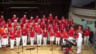 Victoria Soul Gospel Choir sings Stand by Me, May, 2014