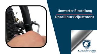 Licorne Bike Umwerfer Einstellung (Licorne Bike Derailleur Sdjustment)