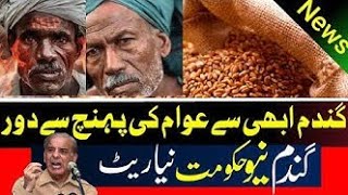 What is the price of 40 kg wheat in Pakistan today?What price of 40 kg wheat in Pakistan today 2023?