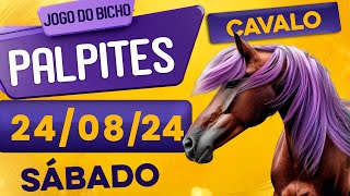 PALPITE DO DIA 24/08/2024 - JOGO DO BICHO 🍀 TODAS AS LOTERIAS 🍀