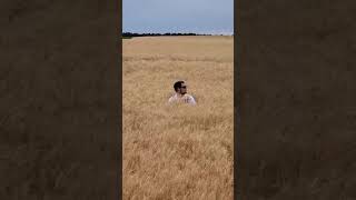 Jason and the Amber Waves of Grain