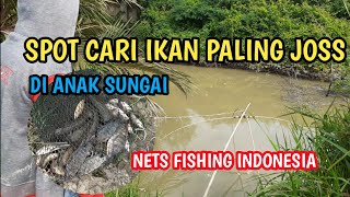 Cari Ikan Sepat siam dan Nila || Branjang Ikan || Anco Ikan || traditional fishing || Net fishing