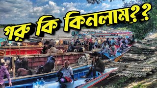 হযরতপুর হাট ক্রস গরু দিয়ে ভরা || Purbasha Agro