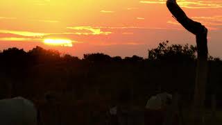 Quinto capítulo Radionovela Atardece Llanero