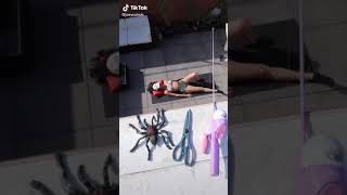 prank on girlfriend || fake spider prank on girlfriend || TikTok video