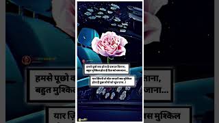 इयादे शायरी स्टेट्स  || Sad status #shayari love story taylor #shortsvideo