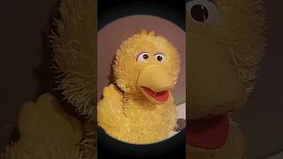 Big bird Sh$ts his pants