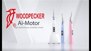 Woodpecker Ai Motor Endomotor Tanıtım