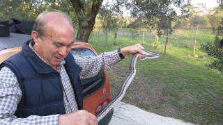 Απεγκλωβισμός Λαφιάτη από κατοικία - Snake rescue