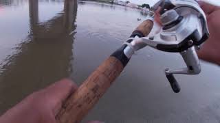 catching catfish candy 🍬 on the ohio 7-18-21