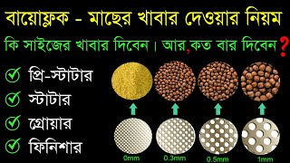 biofloc feed management, বায়োফ্লকে ট্যাংকে মাছের খাবার দেওয়ার নিয়ম, মাছের খাদ্য ব্যবস্থাপনা