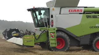 Lohnunternehmer Hannes Hauptmann    Getreideernte 2023 mit Claas Lexion 670 6Meter Schneidwerk zusam