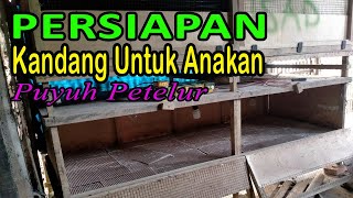 Persiapan Kandang Untuk Anakan Burung Puyuh Petelur