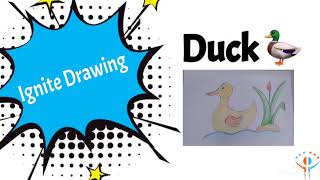 Duck - Step by Step Drawing