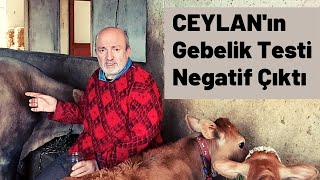 CEYLAN'ın GEBELİK TESTİ NEGATİF ÇIKTI