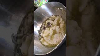 Food cooked squid , gatit calamar