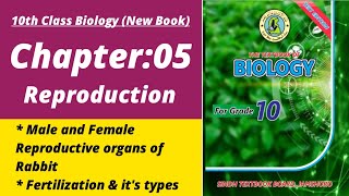 Reproduction in rabbit class 10 | Biology class 10 chapter 5| Class 10 new biology book