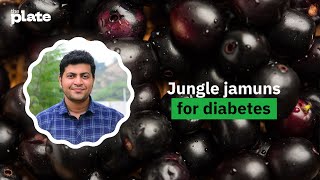 Jamuns from the jungle to fight diabetes