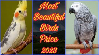 Birds New Price List Pakistan 2023 | Beautiful Birds Mutations 2023 | EP 35