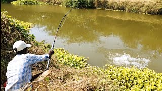 Awesome Fishing 🎣 Catching The BiG ROHU Fishes in Single Gal Hook Rohu Fishing Best Fishing Hunting