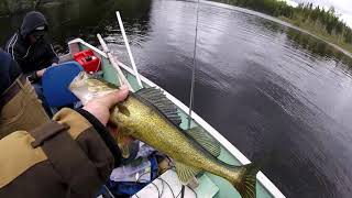 THUNDER BAY WALLEYE TRIP