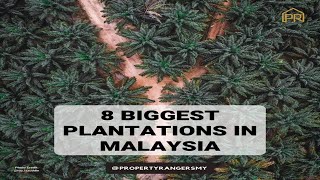 8 Ladang Sawit Terbesar Di Malaysia | 8 Most Biggest Plantation In Malaysia