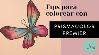 5 Tips Cómo usar lápices Prismacolor Premier correctamente