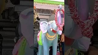 Manasa devi swayam bhu temple