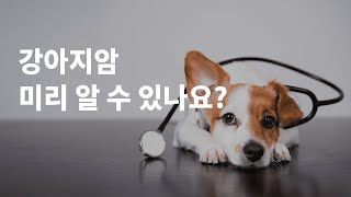 강아지암, 전조 증상과 예방법