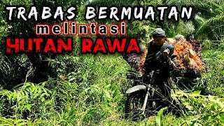 Tidak Wajar,,! Motor Pelangsir Sawit Dipaksa Bermuatan Melewati Jalur Rawa #MasJc-11