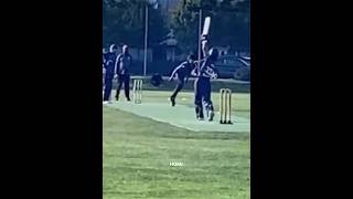 50 In Final #cricket #albyzalmi #cricketposition #sweden #supportnewyoutuber #cricketlover #sports