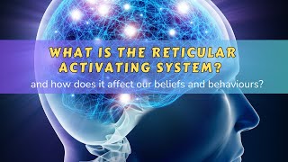 What is the Reticular Activating System?