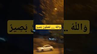 ٩ ديسمبر، ٢٠٢٤