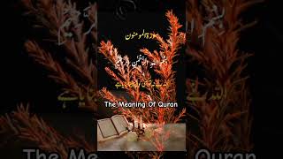 Quran Tilawat Surah Al -Muminoon | Best Quran Verses Only Urdu Translation | #shortsvideo 🖤🕋🖤