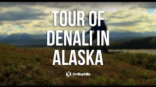 Tour  of Denali National Park, Alaska by Thrillophilia