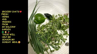 FRESH HARVESTED HERBS FROM MY BALCONY GARDEN  @JENITABFWELLWISHESGROCERYHAULS   #GROCERYCHATS