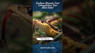 (Part1) Keadaan Manusia Saat Dibangkitkan Dari Alam Kubur #shorts