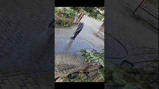 Cleaning pathway driveway satisfying video #cleaning #satysfingvideo #timelapse #funny