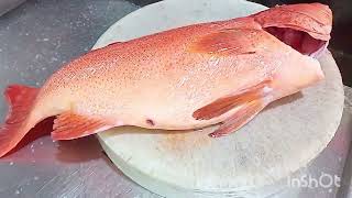 #Red lapu live 4.0kg #Chinese soup and #steam soy sauce Ang #laki Ng isda na to