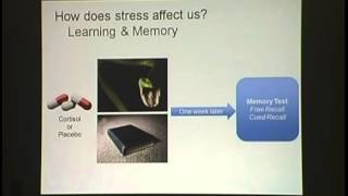 Stress on the Brain: How Stress Affects the Way We Think, Remember, and Connect with Others