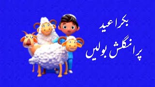 English Speaking Sentences with Urdu Translation at Eid ul Adha | Eid ul Adha Vocabulary